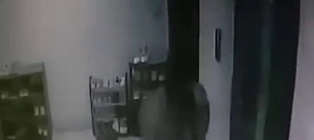 Kediyi sopayla dövdü