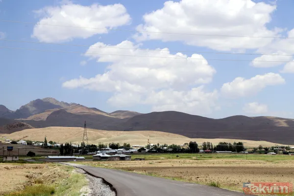 Mahalleyi bit pire sivrisinek bastı! Vatandaşlar geceleri uyuyamıyor - 5