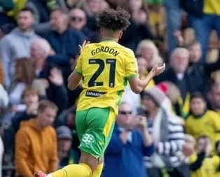 Norwich evinde gol oldu yağdı