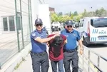 Adana’da şoförün aşk uykusu kazayla bitti: 7 yaralı, 70 bin TL ceza!