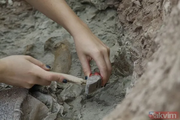 Çankırı'da 8,5 milyon yıllık fosil bulundu! - 11