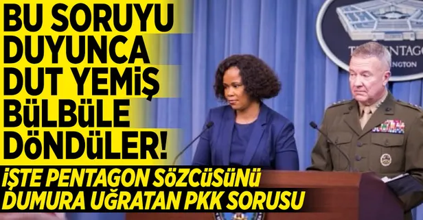 Pentagon'dan Afrin açıklaması