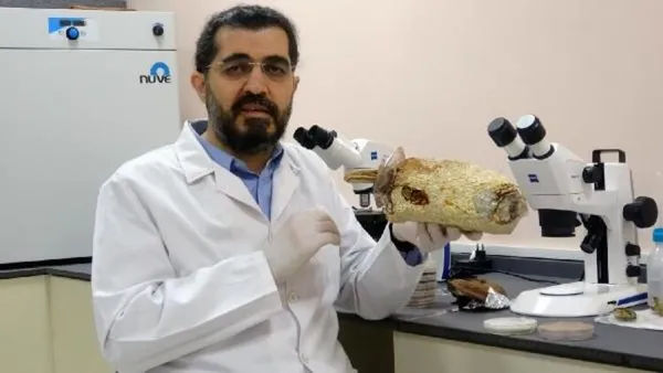 olumsuzluk-mantari-turkiyede-uretildi-kilosu-3-bin-lira-1610778429870.jpg Ölümsüzlük mantarı Türkiye'de üretildi! Kilosu 3 bin lira-2