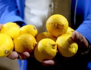 Kuru limon