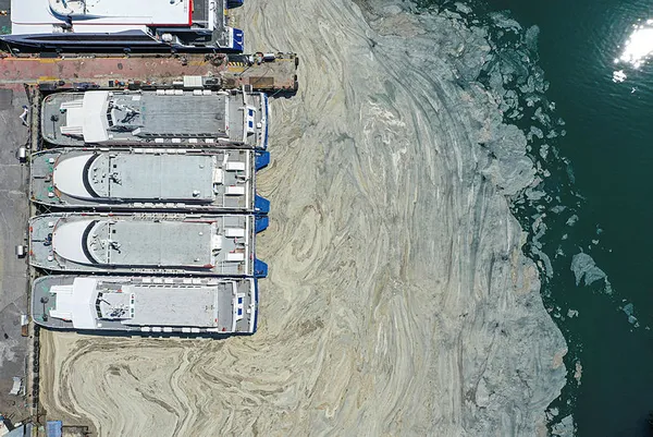 Marmara istila altında! Deniz salyasının (müsilaj) ilk raporu ortaya çıktı! Korkunç sonuç!-16