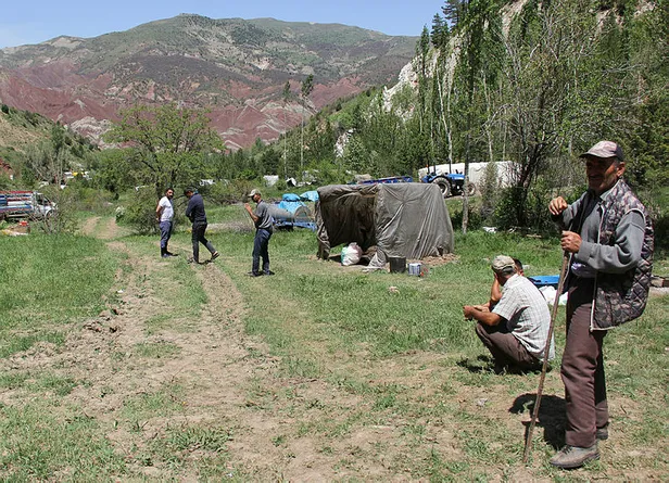 1591603280512.jpg Sivas'ta ormanlık alanları istila eden tırtıllar yüzünden günde 10 kişi hastaneye gidiyor!-2