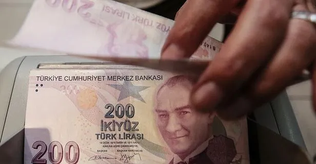 Destek ödemeleri başladı! Hesapları kontrol edin