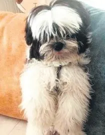 bobrek-hastasi-adam-kizindan-yapilan-nakille-hayata-sarildi-1679696049937.jpeg Böbrek hastası adam kızından yapılan nakille hayata sarıldı-3