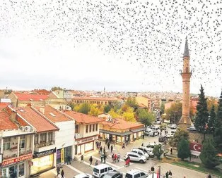 Uşaksavar