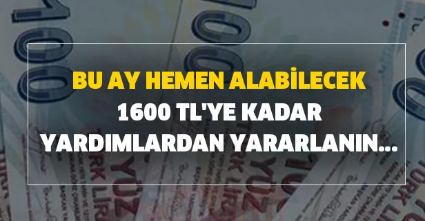 Herkese 8 maddi destek verilecek! Bu ay hemen alabilecek