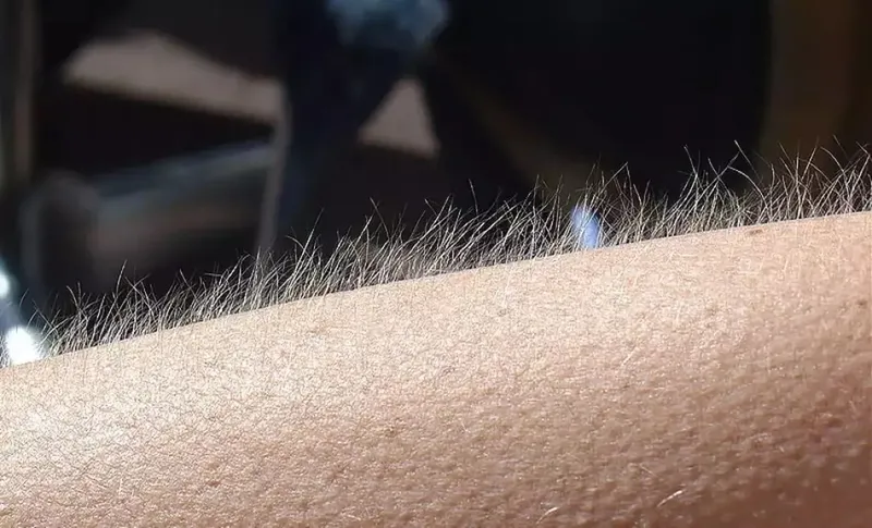 kil-kokunu-kurutan-tek-besin-lazerden-daha-etkili-dogal-tuy-dokucu-1716829653403.jpeg Lazerden daha etkili doğal tüy dökücü! Kıl kökünü kurutan tek besin!-2