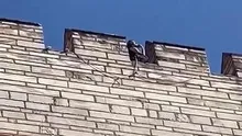 Surdaki vahşet ve siyahın şeytani tonu! Birçok kişinin atladığı kara detay ve satanistlerin Semih Çelik itirafı... Tanınan bir isimdi