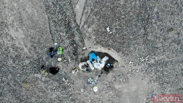 Son akşam yemeği: Bilim insanları yeni bir dinozor türü keşfetti! Meğer tam avını yerken... - 6