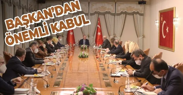 Başkan Erdoğan Darüşşafaka Yönetim Kurulu Başkanı Tayfun Öktem’i kabul etti