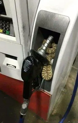 Birbirinden ilginç anlar!