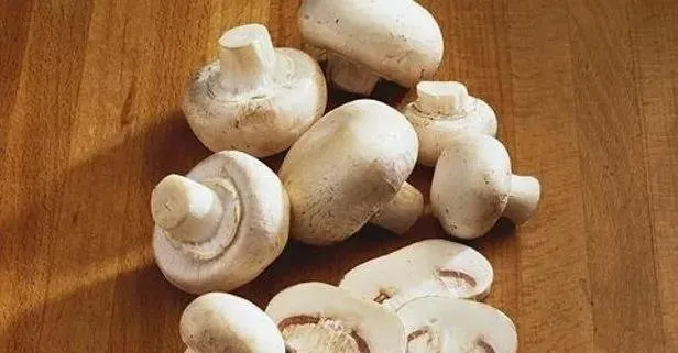 Kemiklere mantar
