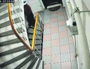 Şu işe bak!