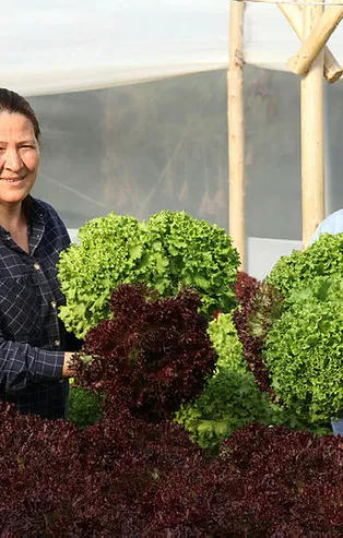 Mersin'de bir ev kadını internette görüp bu işe başladı! Ayda 4 bin lira kazanıyor