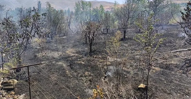 Diyarbakır ve Mardin'deki anız yangınının çıkış nedeni belli oldu! | Bakan Yumaklı facianın bilançosunu açıkladı: Yaralar sarılacak