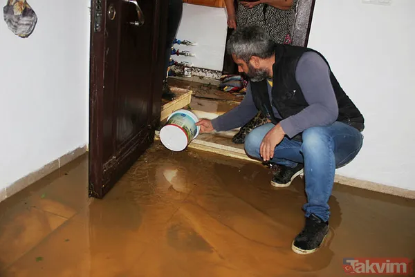 Muğla Bodrum'da hep aynı manzara! Evleri su bastı, sokak hayvanları boğuldu - 8