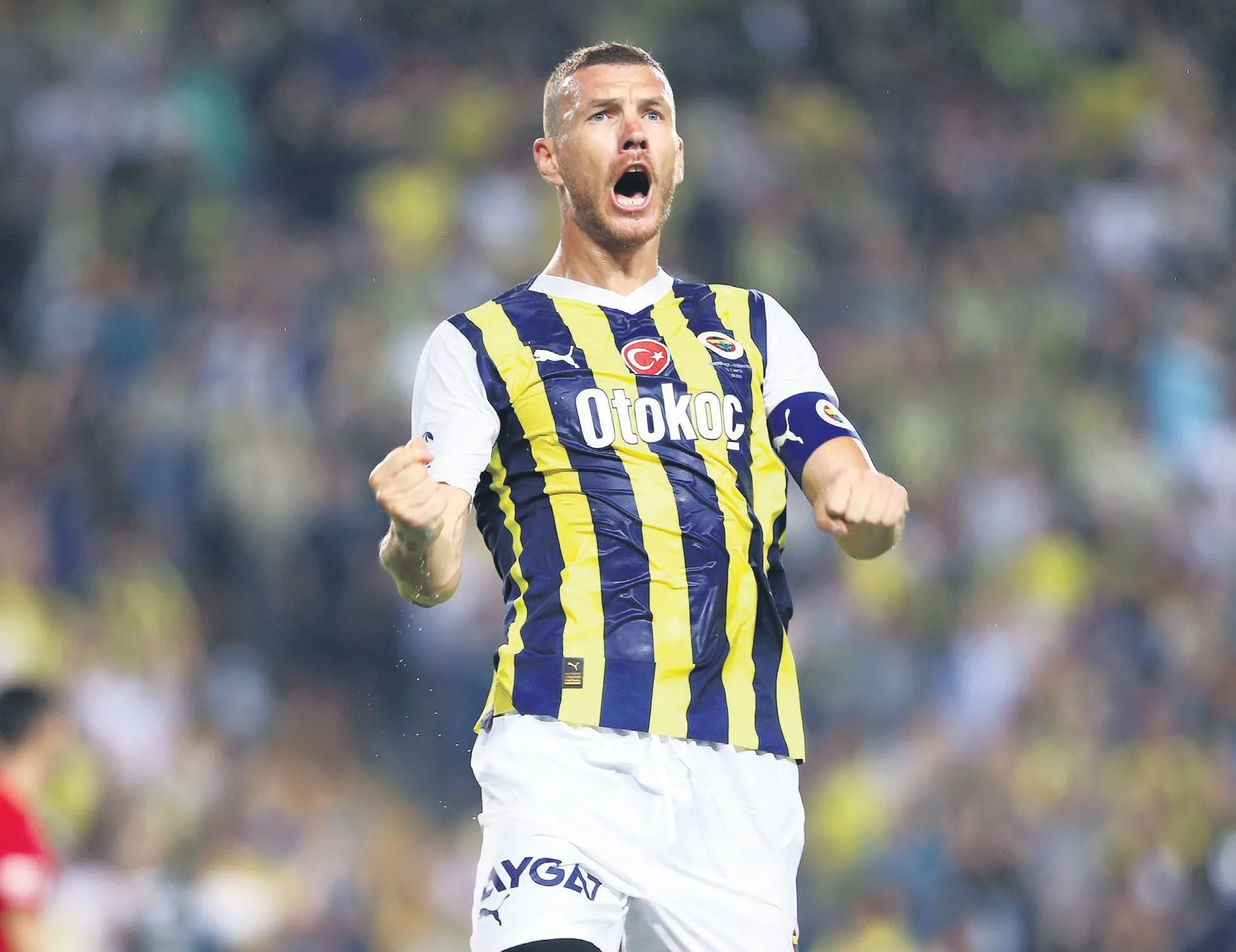 Yuvaya geri dönüyor