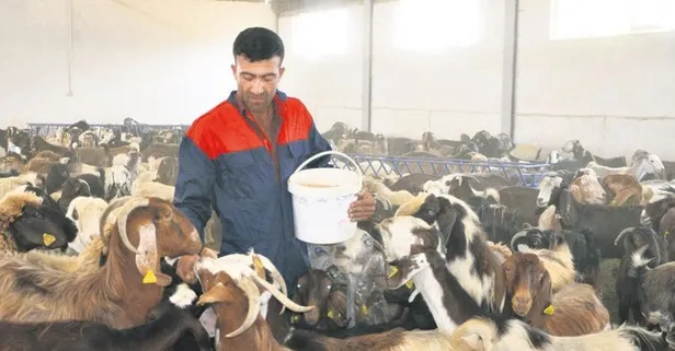 Projesiyle hibe aldı, çiftliği oldu