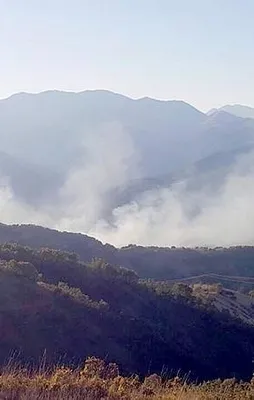 PKK'dan sivil araca bombalı saldırı!