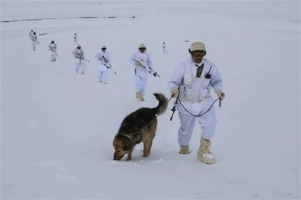 Kars'ta yerli silahlarla tatbikat! Böyle denediler...-4