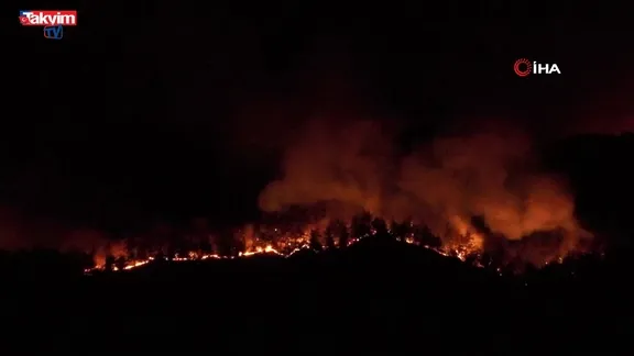 Sakarya'daki yangın kameralara yansıdı!