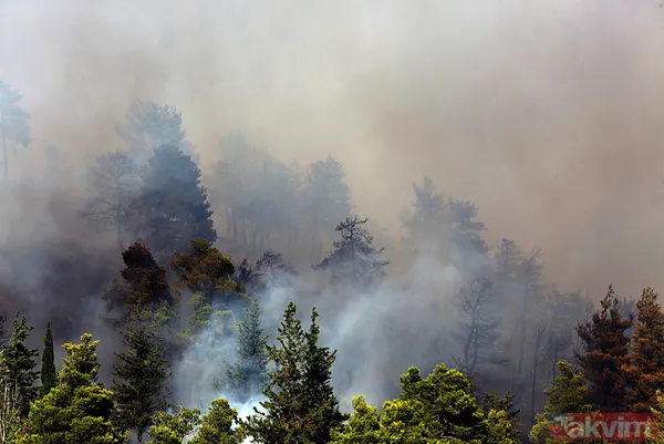 Yunanistan alevlere teslim oldu! O güne kadar kırmızı alarm! | Türkiye'den Yunanistan'a yardım eli - 20