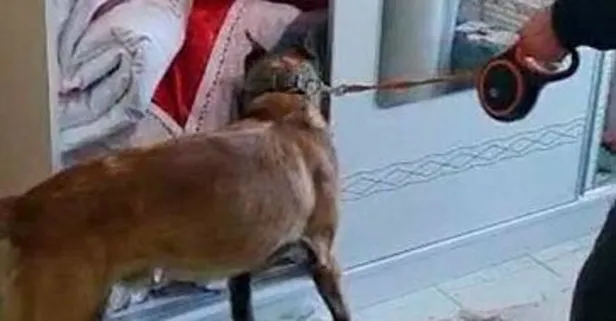 Çanakkale merkezli 3 ilde uyuşturucu operasyonu: 40 gözaltı