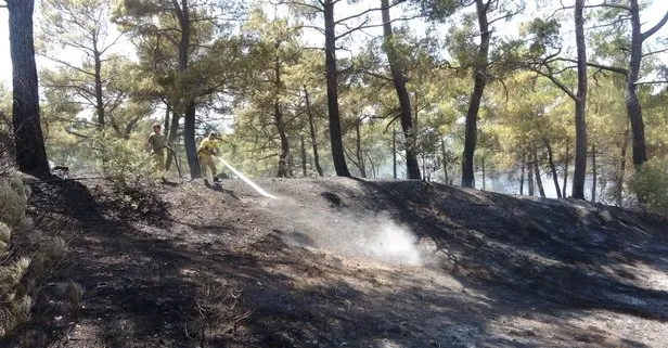Çanakkale’de orman yangını