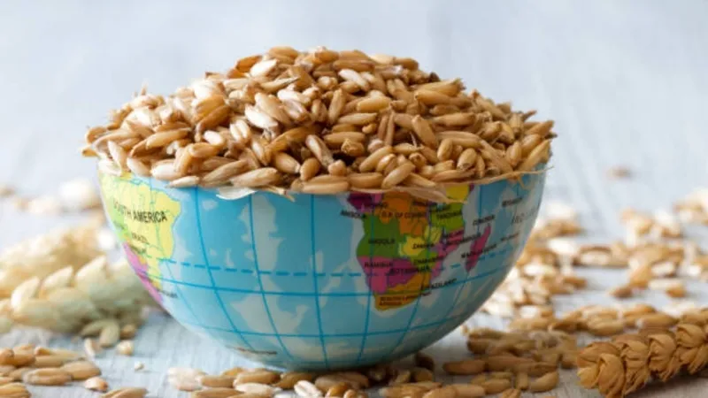 kuresel-aclik-alarmi-2030da-512-milyon-kisi-tehlikede-1773990415393.jpg Küresel açlık alarmı: 2030’da 512 milyon kişi tehlikede-10