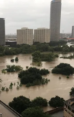 ABD felaketi yaşıyor