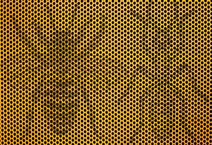 ilk-gordugun-hayvan-buysa-hafiza-gucun-muhtesem-derecede-cikiyor-1711095367408.jpg İlk gördüğün hayvan buysa hafıza seviyen muhteşem derecede çıkıyor-6