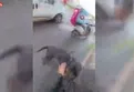 Mersin'de vahşet! Sokakta ağızlıksız gezdirilen 'Rottweiler' cinsi köpek dehşet saçtı