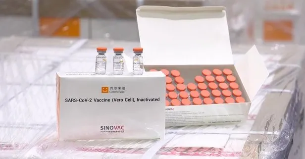 SON DAKİKA: Endonezya’dan CoronaVac aşısına acil kullanım onayı: Etkinlik oranı yüzde 63.5