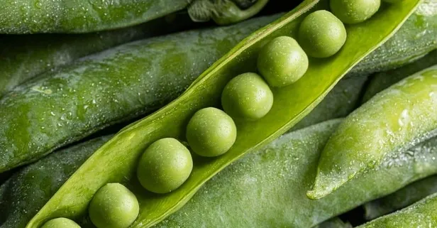 Diyabete bezelye! Faydaları saymakla bitmez