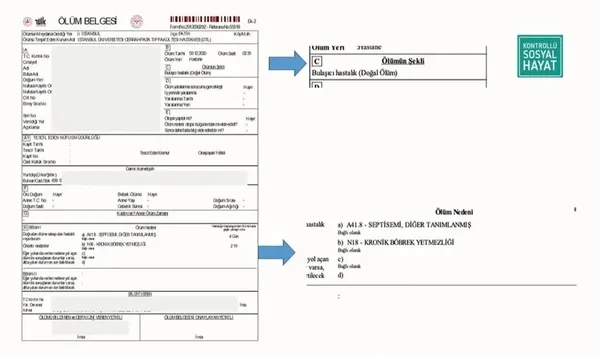 saglik-bakani-fahrettin-koca-can-kaybi-sayisi-fazla-yalanini-yayan-muhaliflere-belgelerle-cevap-verdi-1607539466626.jpg Sağlık Bakanı Fahrettin Koca "can kaybı sayısı fazla" yalanını yayan muhaliflere belgelerle cevap verdi-6