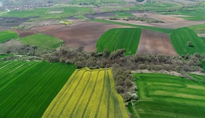 Tapuda artık bu belge isteniyor! 2 hafta zamanınız var! Arsa ve tarla sahiplerine uyarı...-2