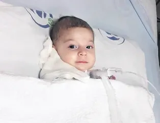 Ahsen’i yaşatalım