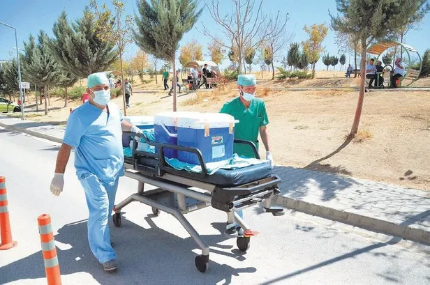 baris-altun-tam-6-yillik-mucadelenin-ardindan-kanseri-yendi-yasam-haberleri-1663114922598.jpeg Barış Altun tam 6 yıllık mücadelenin ardından kanseri yendi! | Yaşam haberleri-3