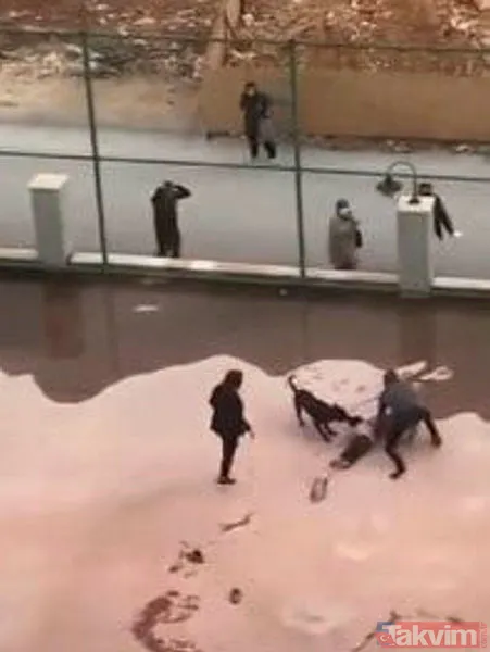 Gaziantep'te pitbull saldırısına uğrayan minik Asiye Ateş'ten haber var! Doktor 'ilk defa görüyorum' diyerek açıkladı - 6