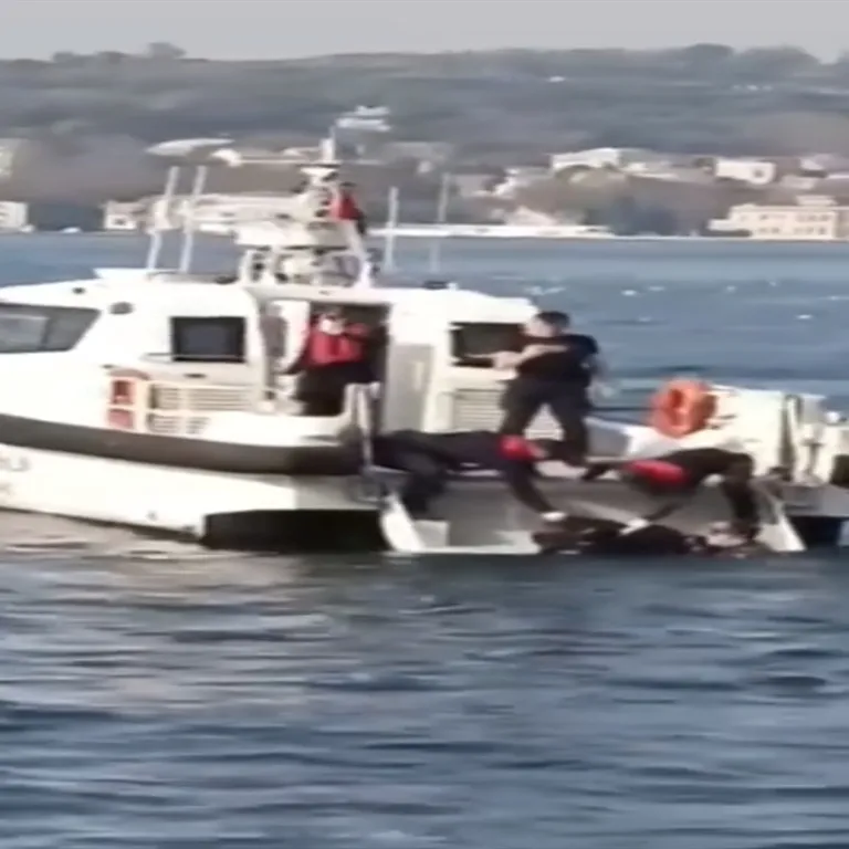 Sahil güvenlik ekipleri tarafından çıkartıldı