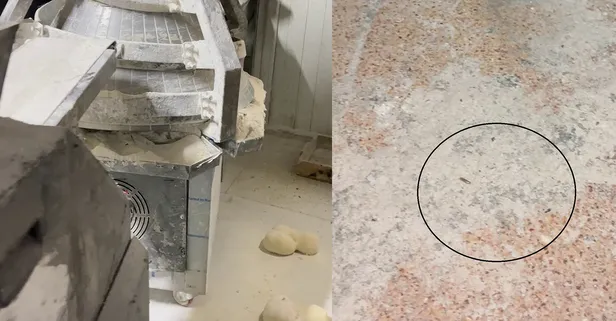 Hatay'da denetimde mide bulandıran görüntüler: Zabıtalar fırında gördüklerine inanamadı