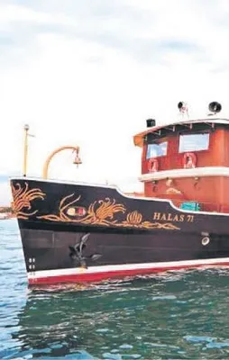 Halas Yatı’nda sürpriz parti