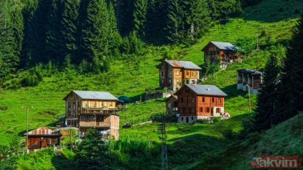 İstanbul’da yaşayanların memleket dağılım açıklandı: TÜİK verilerine göre ilk 20 il - 10