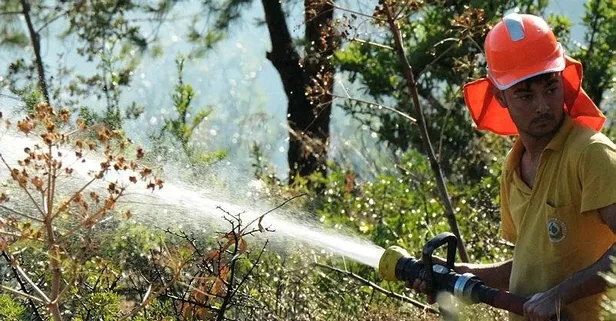 Bodrum'da makilik ve otluk alanda çıkan yangın söndürüldü