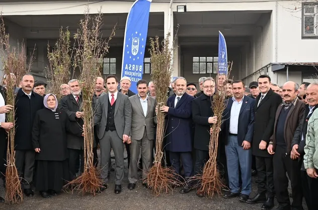 Bursa'da dağ yöresi meyvecilikle kalkınıyor