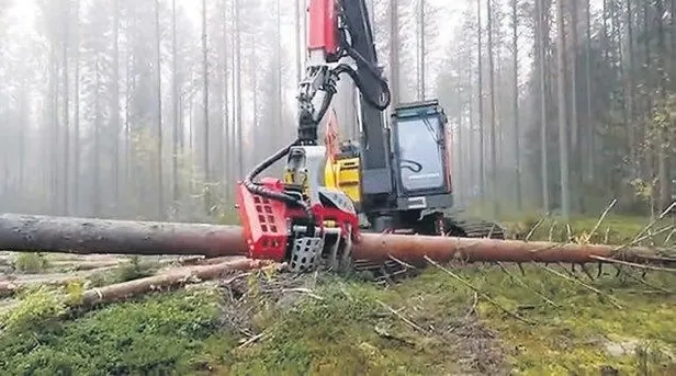 1951 sonrası gelen enflasyon rakamları Almanya’yı sokağa döktü!-8